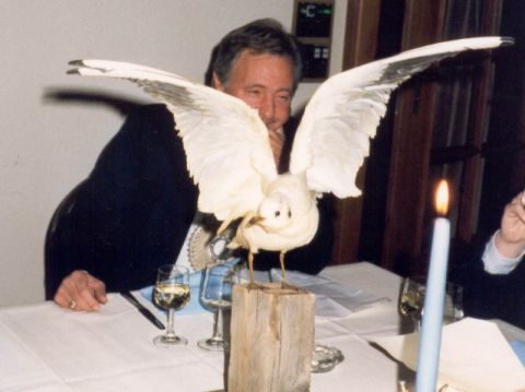 GV Sternen, Bild 9