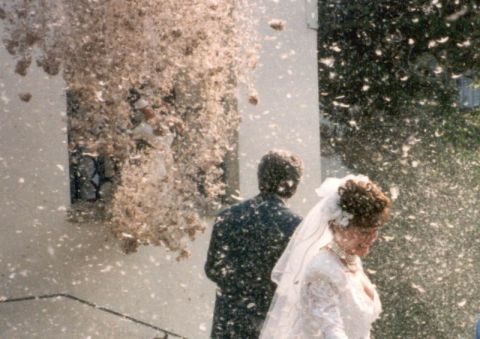 Hochzeit Haschmöve, Bild 22