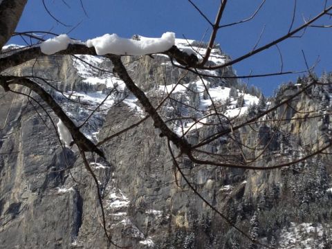 Schitag-Frutt, Bild 7