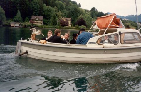 Mövenflug Boot Kehrsiten, Bild 6