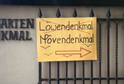 Mövenflug Luzern, Bild 23