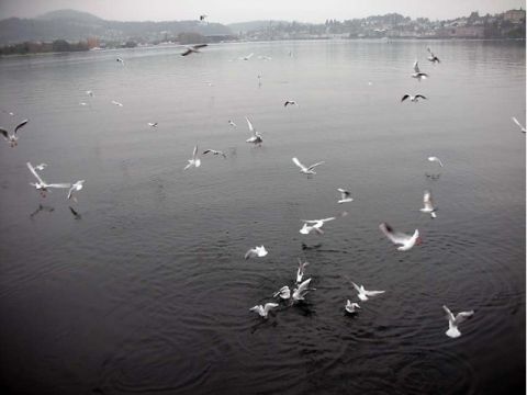 Ausflug Luzern, Bild 43