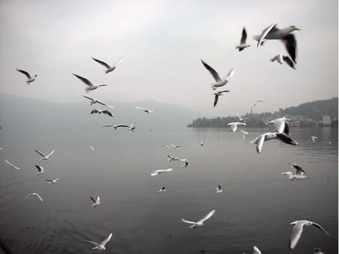 Ausflug Luzern, Bild 50