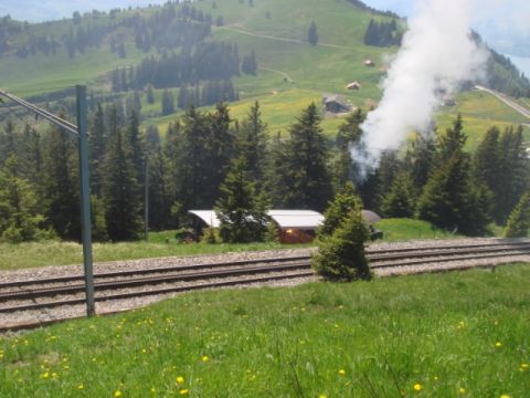 Mövenwanderung-Rigi, Bild 26