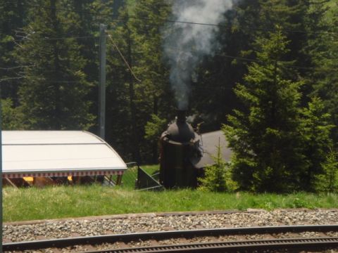 Mövenwanderung-Rigi, Bild 27