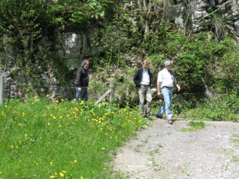 Frühlings-Ausflug Brünig, Bild 16