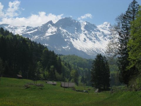 Frühlings-Ausflug Brünig, Bild 19