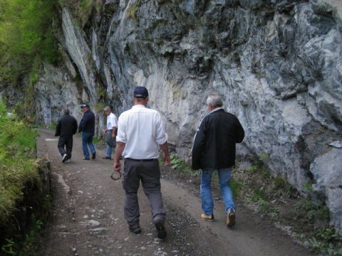 Frühlings-Ausflug Brünig, Bild 59