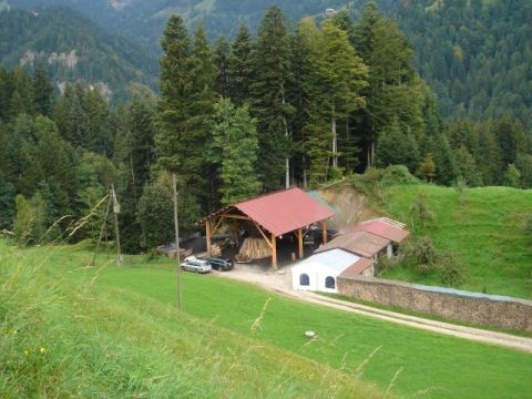 Mövenflug > Entlebuch, Bild 45