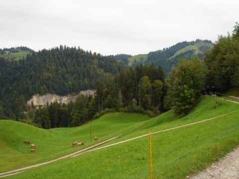 Mövenflug > Entlebuch, Bild 47