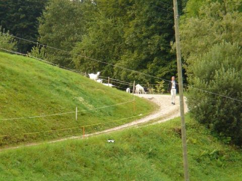 Mövenflug > Entlebuch, Bild 48