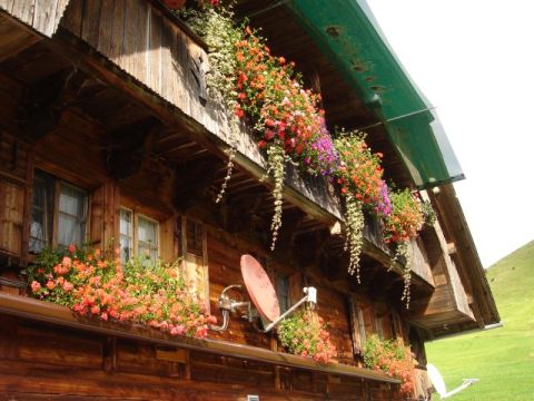 Mövenflug > Entlebuch, Bild 122