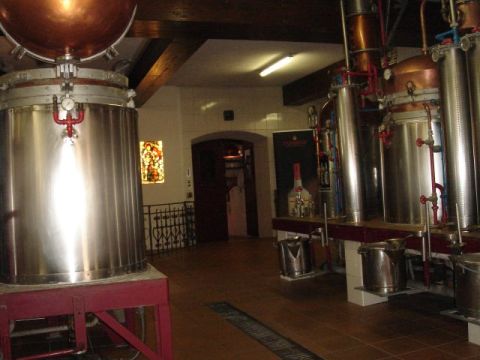 Mövenflug Fassbind, Oberarth, Bild 50