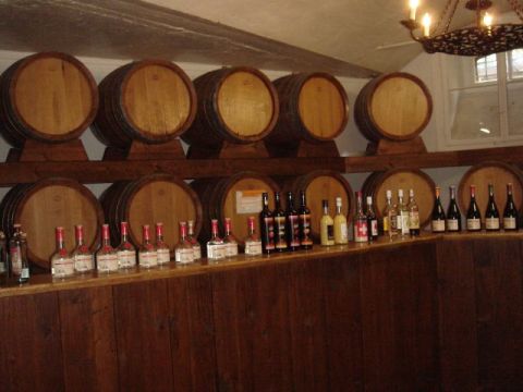Mövenflug Fassbind, Oberarth, Bild 59