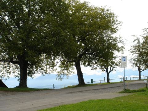 Mövenflug Aargau, Bild 29