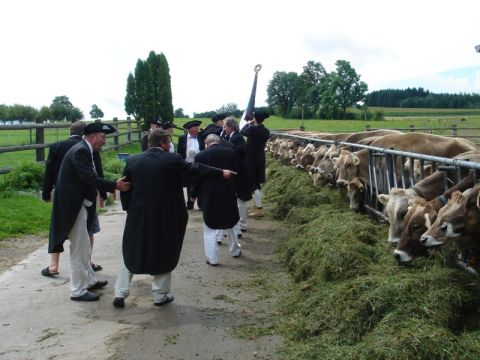 Mövenflug Aargau, Bild 46